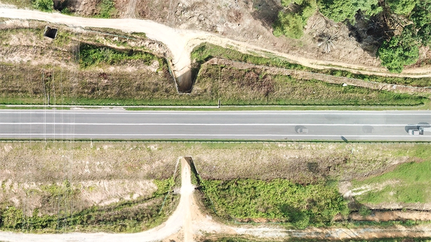 Desaru Highway Orthomosaic