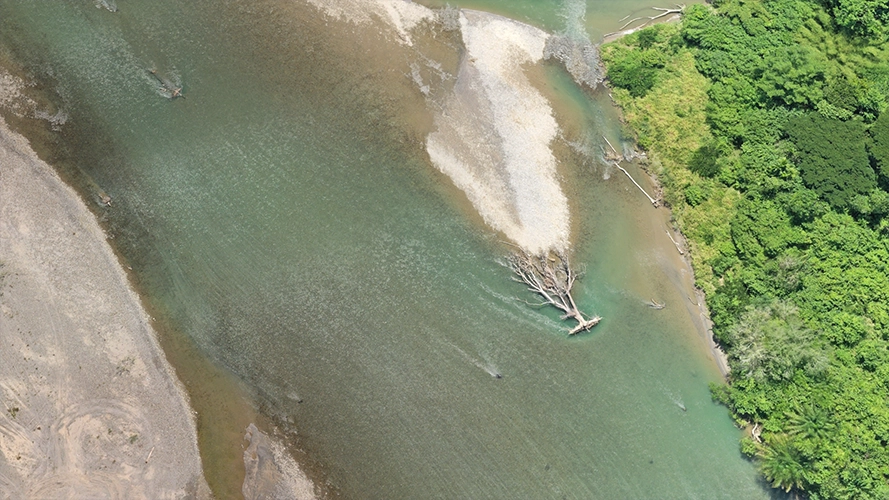 Orthomosaic - Survey-grade orthomosaic with precise geolocation